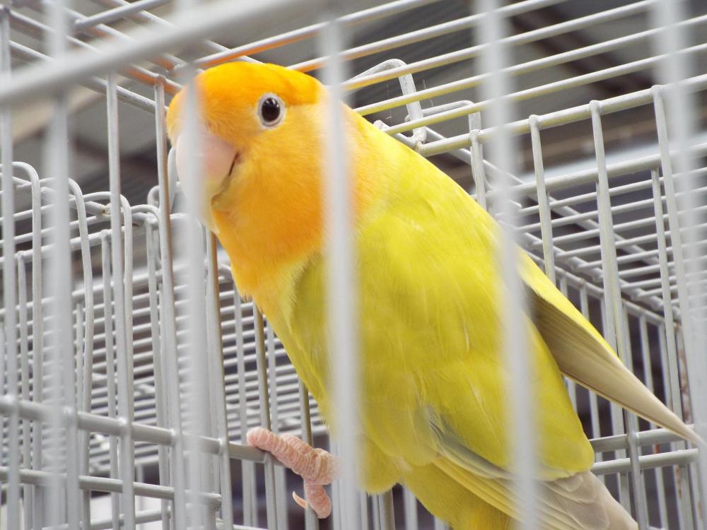 11164710_840487329360247_130051826503564