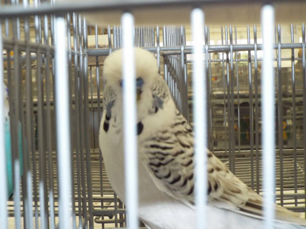 11169632_840487462693567_610378563533844