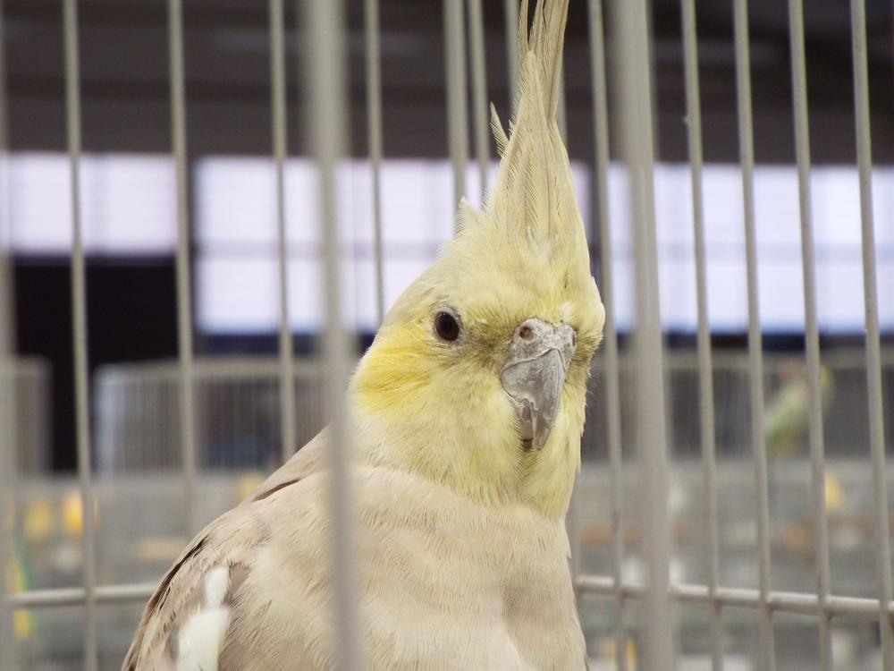 11174221_840476526027994_157287270644493