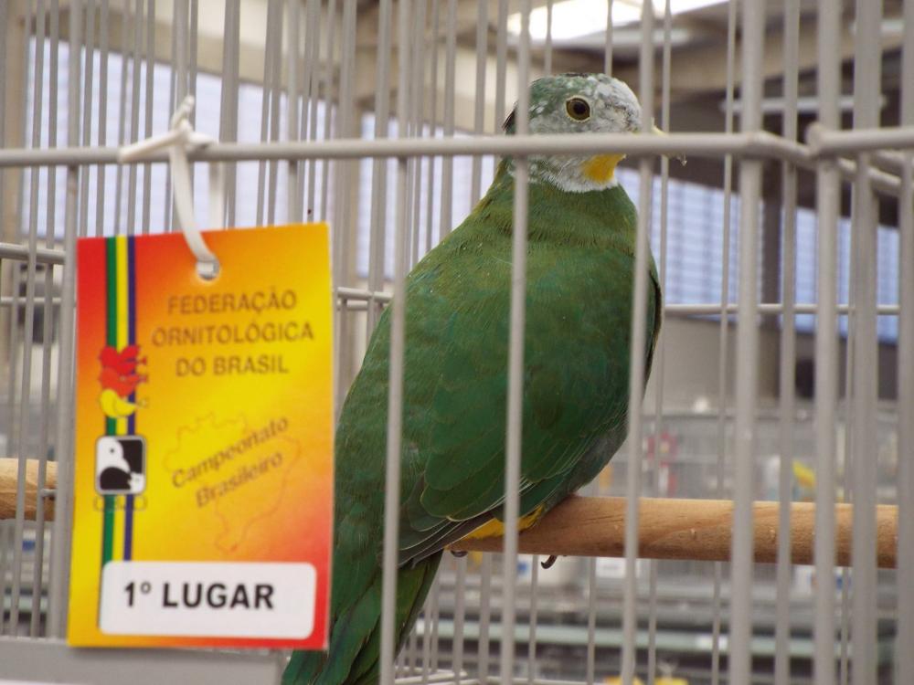 11174373_840476286028018_699278466290373