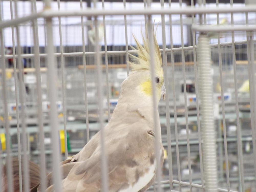 11174469_840476616027985_971767027708806