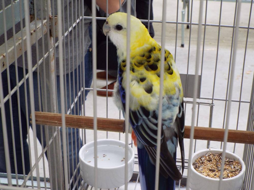 11174557_840455616030085_172619429845635