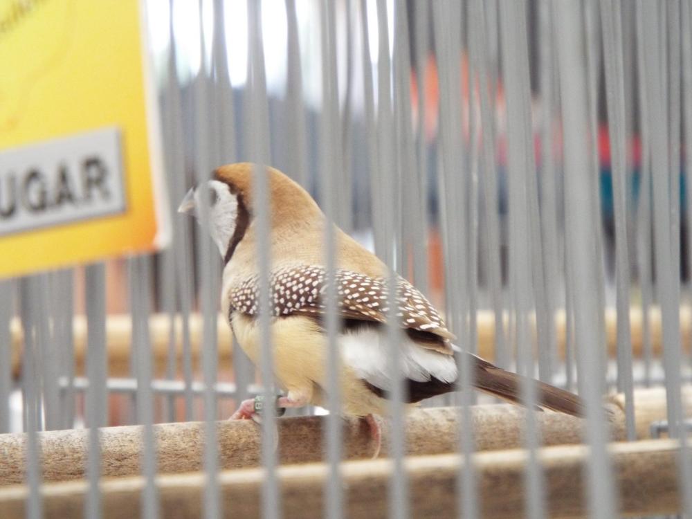 11174699_840476239361356_504439226658971