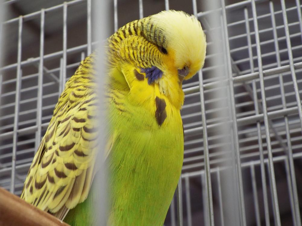 11187141_840487452693568_149725638760600