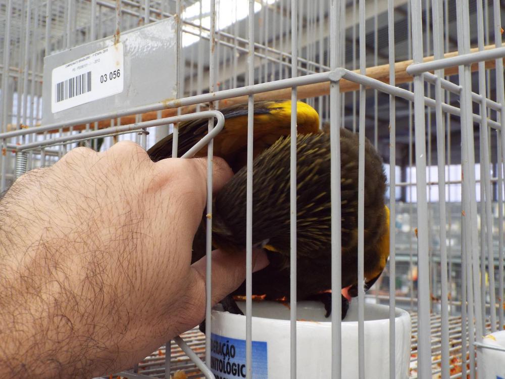 11187416_840476199361360_524215969297479