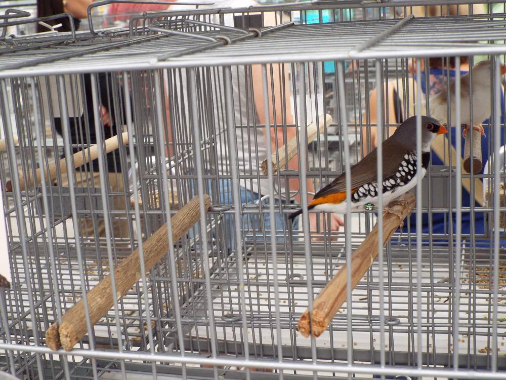 11187757_840476262694687_294819904400012