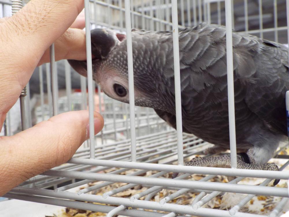 11194473_840476569361323_593783453044956