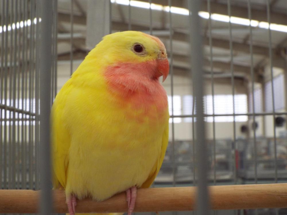 11194544_840476476027999_664834840498154