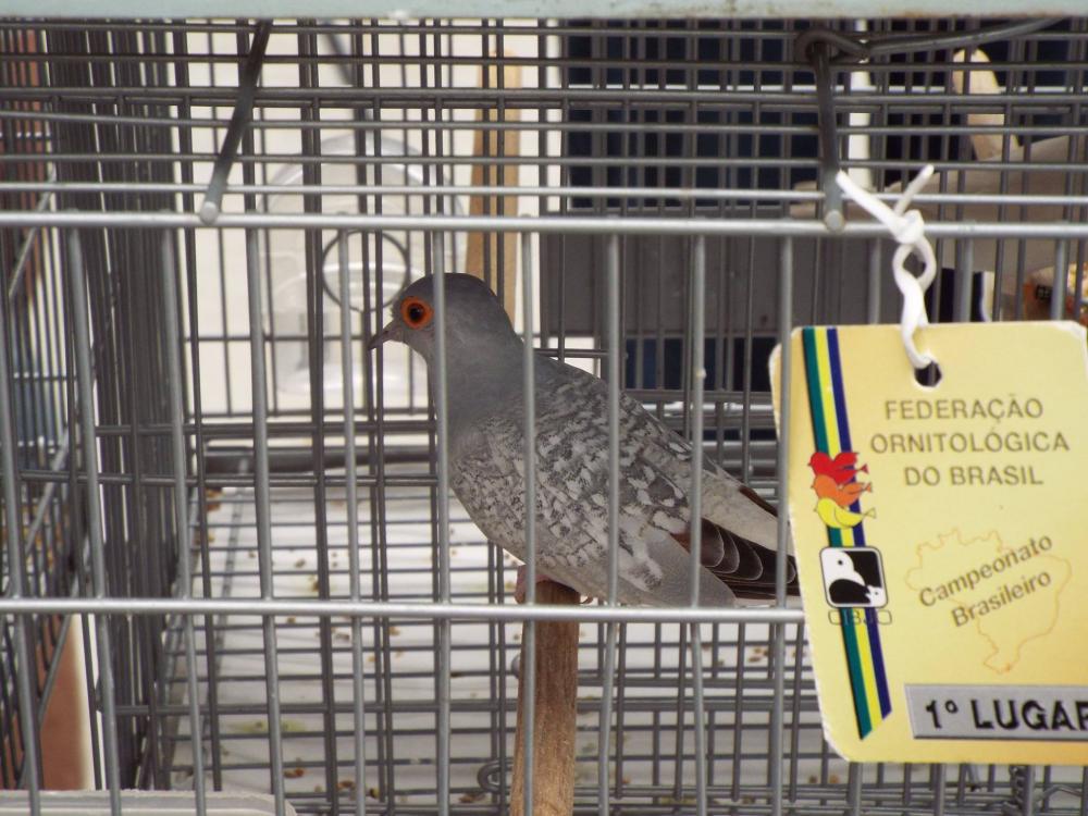 11200941_840476269361353_687016131941872