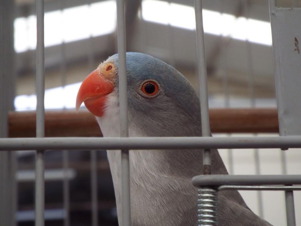 11203540_840454989363481_850699786608210