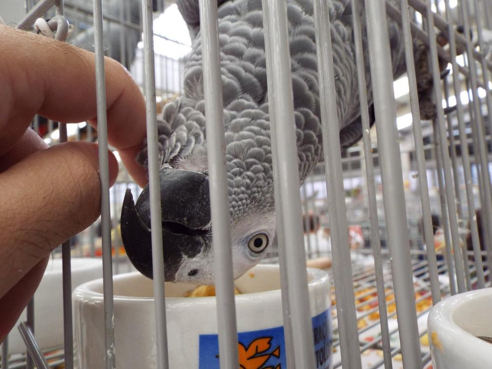 11203642_840455382696775_273624743909513