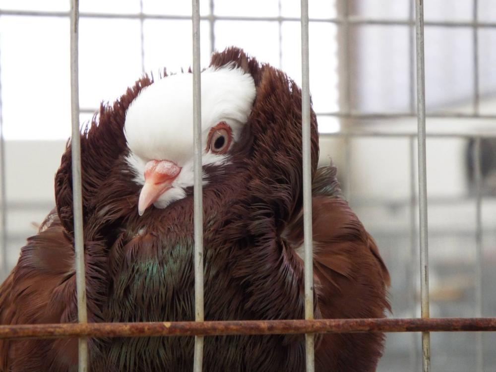 11206814_840476299361350_612984902350306