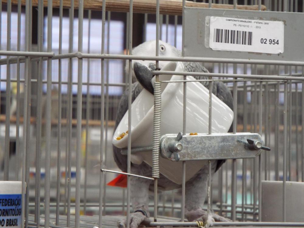 11212600_840476559361324_185977606349758