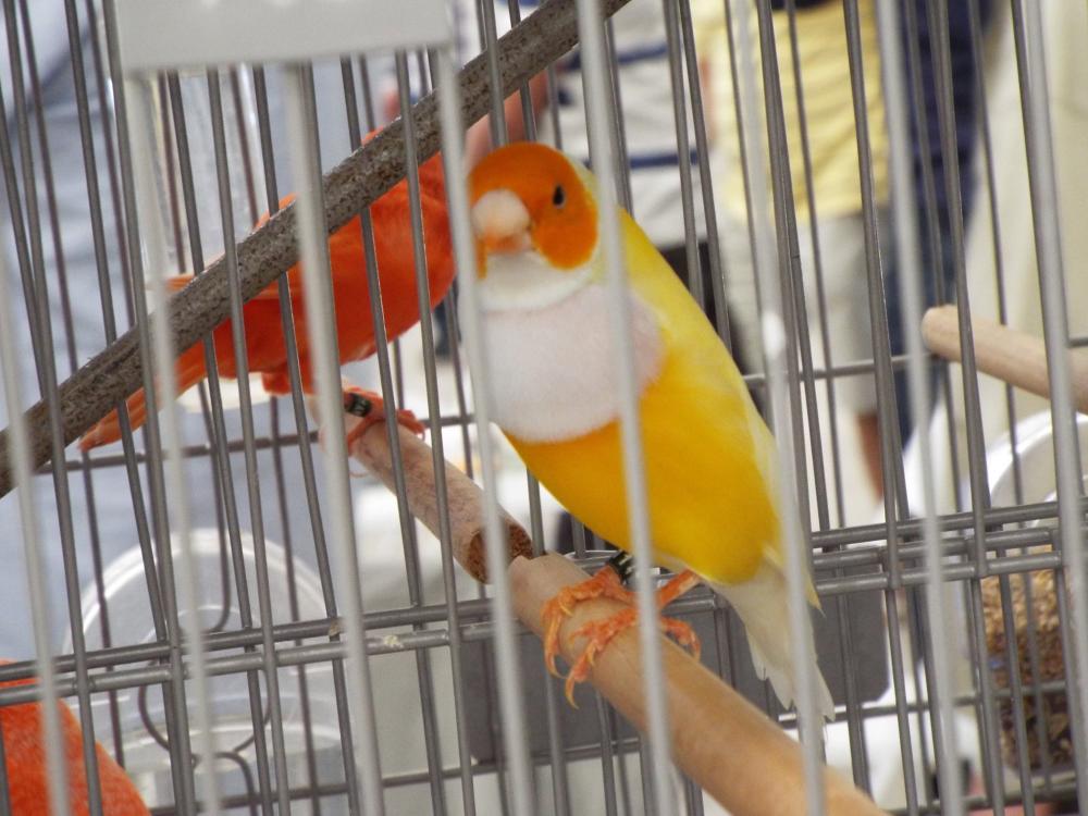 11217751_840455542696759_605357393237271