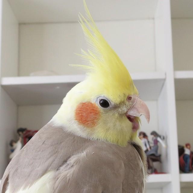 1538414_1439133106379560_1206592570_n.th