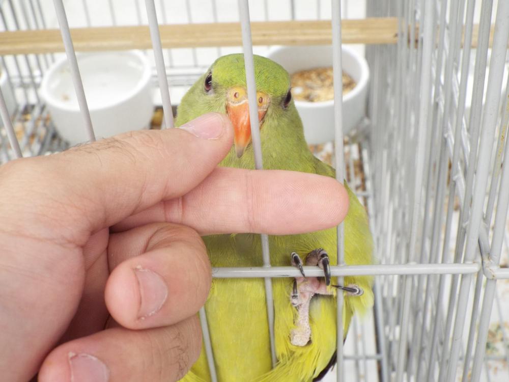 1891444_840476496027997_5300035895650932