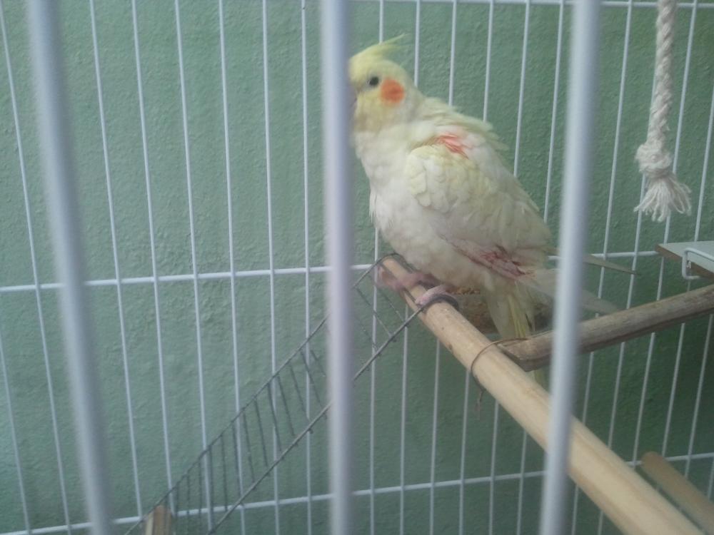 2014-12-13 08.12.34.jpg