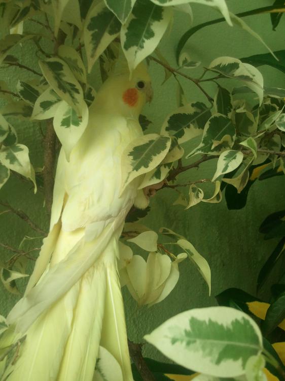 2015-01-06 09.25.06.jpg