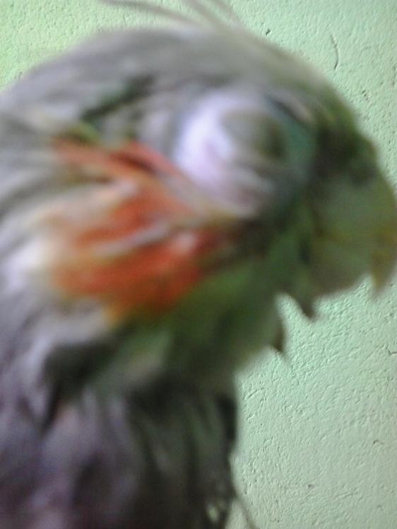 2015-04-30 15.26.23.jpg