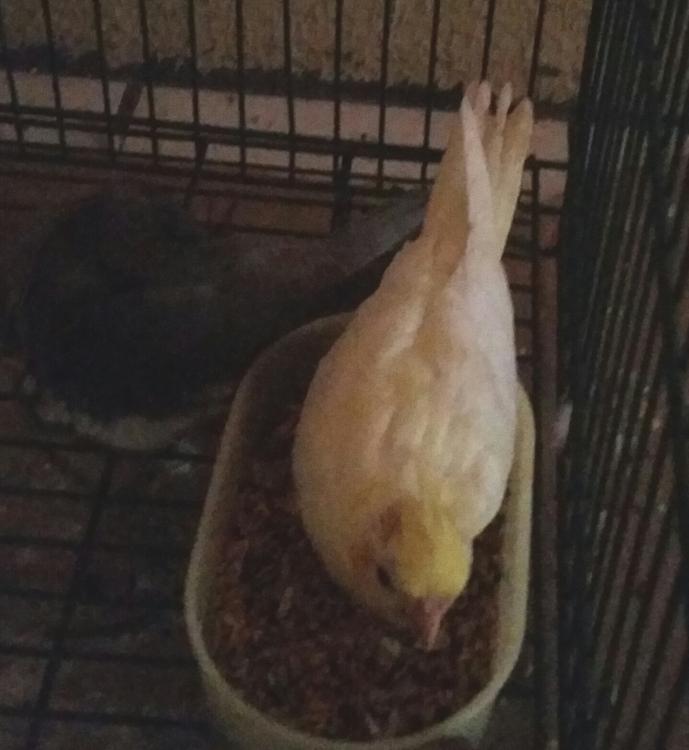 2015-05-03 17.12.21.jpg