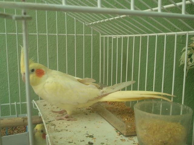 2015-05-04 09.52.10.jpg