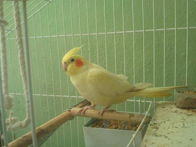 2015-05-04 09.52.36.jpg