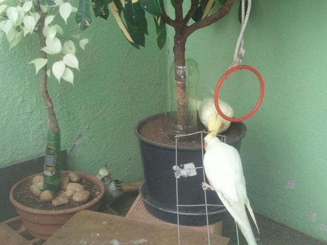 2015-05-04 10.10.18.jpg