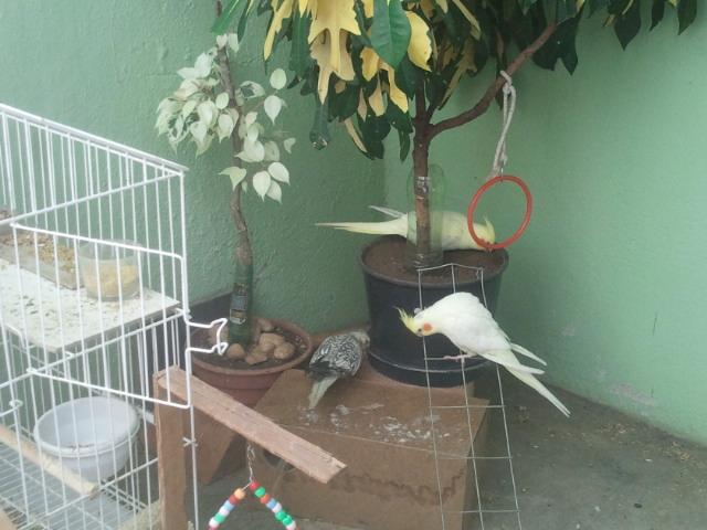 2015-05-04 10.10.31.jpg