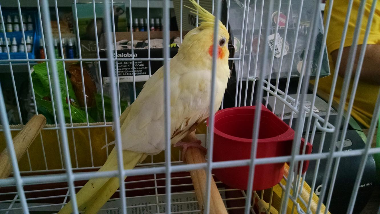 2015-05-13 09.18.23.jpg