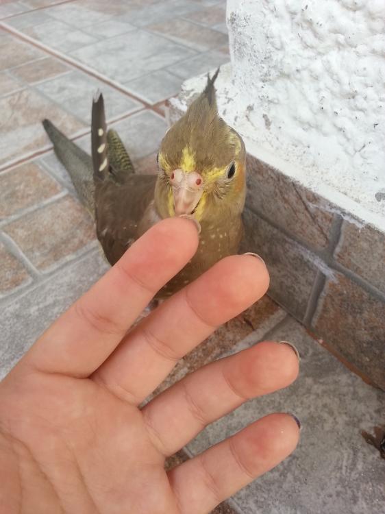 20150331_150651.thumb.jpg.365d63ece23225