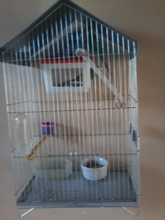 20150424_164314_Android.thumb.jpg.8909a1