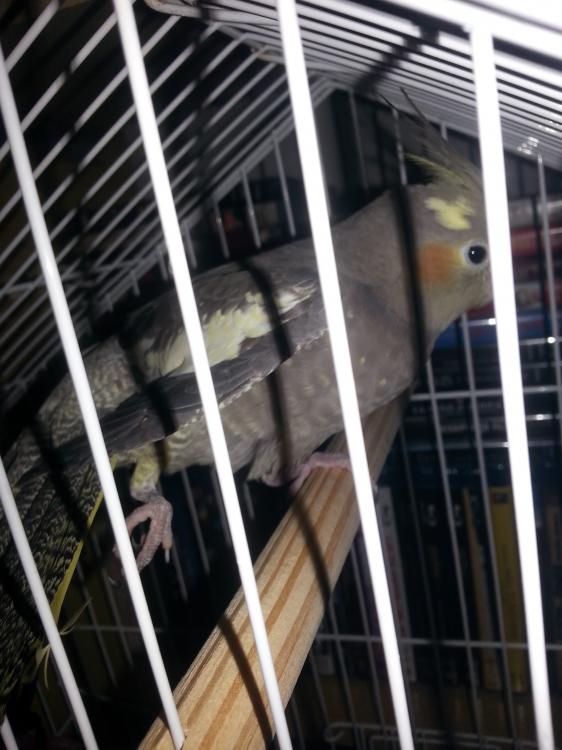 20150427_011715.thumb.jpg.d285c0a70b73c0