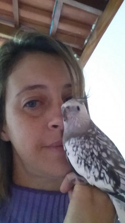 20150528_090413.thumb.jpg.c5d887c9dabd4c