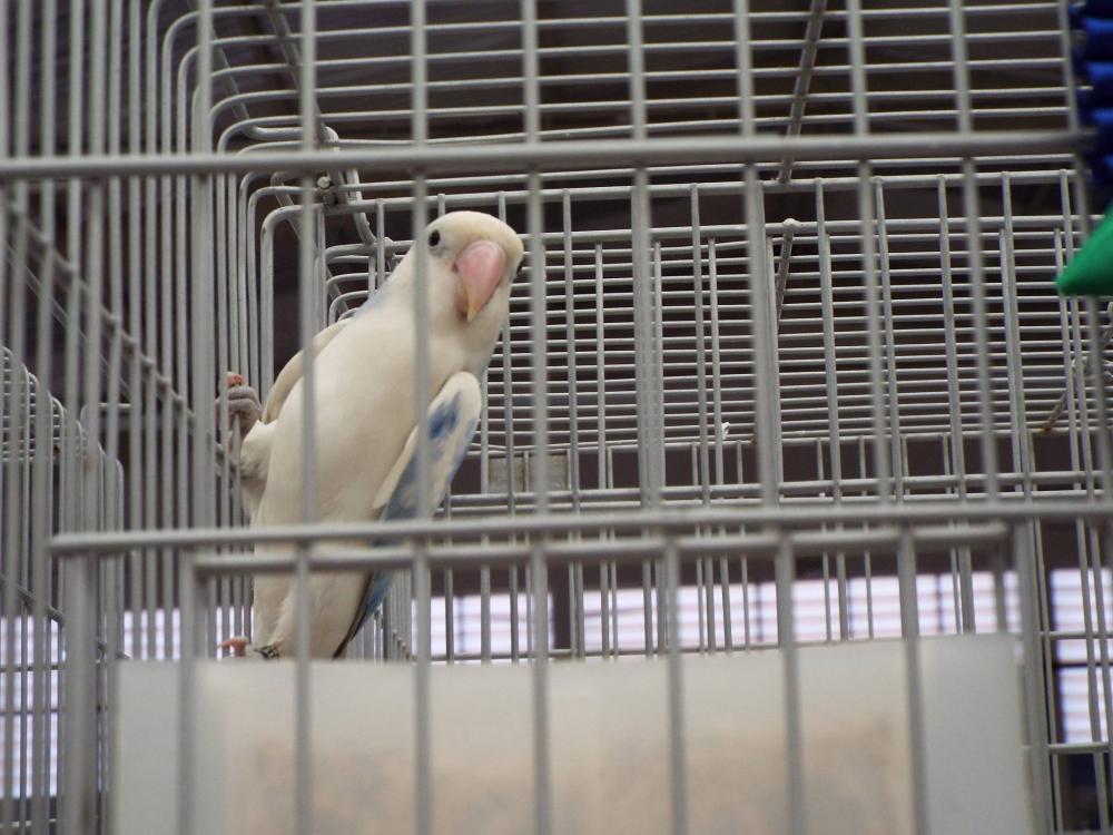 905991_840487379360242_75463899130537123