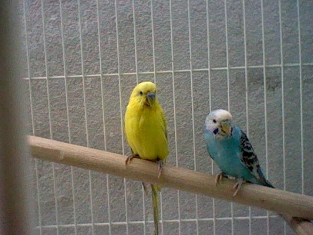 HNI_0034.thumb.JPG.5522789ef1a0dae74ae33