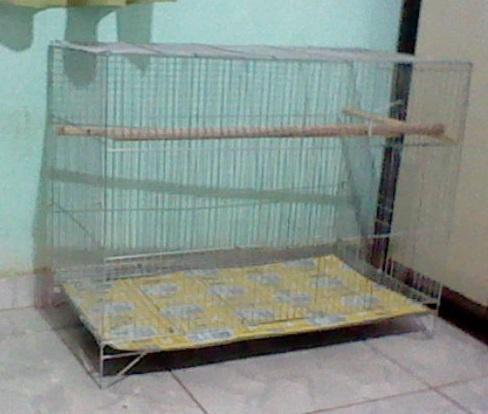 HNI_0081.thumb.JPG.00a9bb7f9344ec9a6c1b1