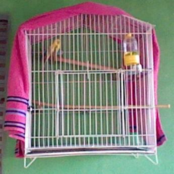 HNI_0084.thumb.JPG.ff5f6f078e6ef72f061e6