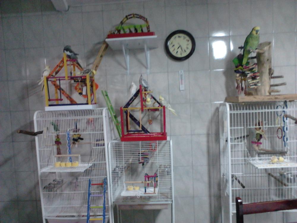 IMG00082.thumb.jpg.72d1730e80cf0a94ae087