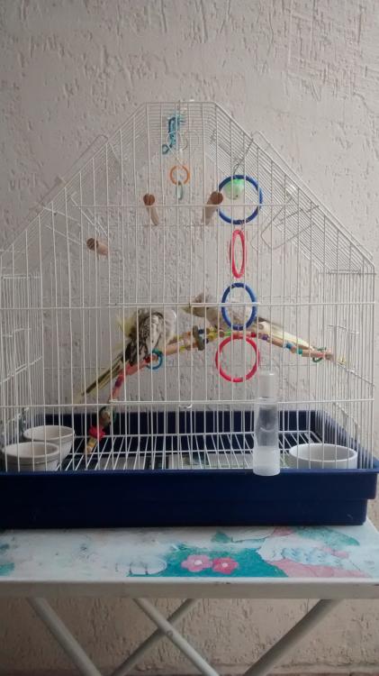 IMG_20150523_164746903.thumb.jpg.acb3b21