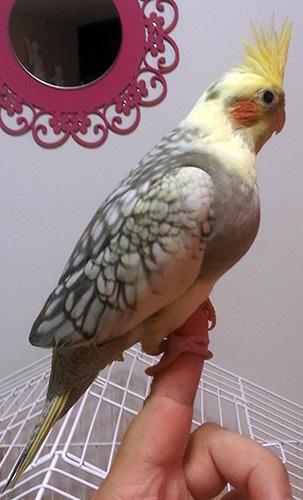 a1.thumb.jpg.1e83a683bc944c074c642b79b13