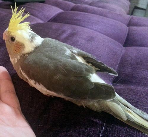 a2.thumb.jpg.12b263f082a0181b50684032d07