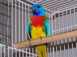 download.thumb.jpg.e6401ac8751d81bfe8793