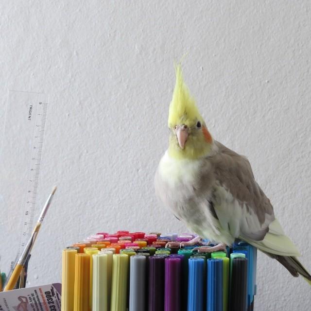 ff4dd07aae5611e39272122d8d8f2c13_8.thumb