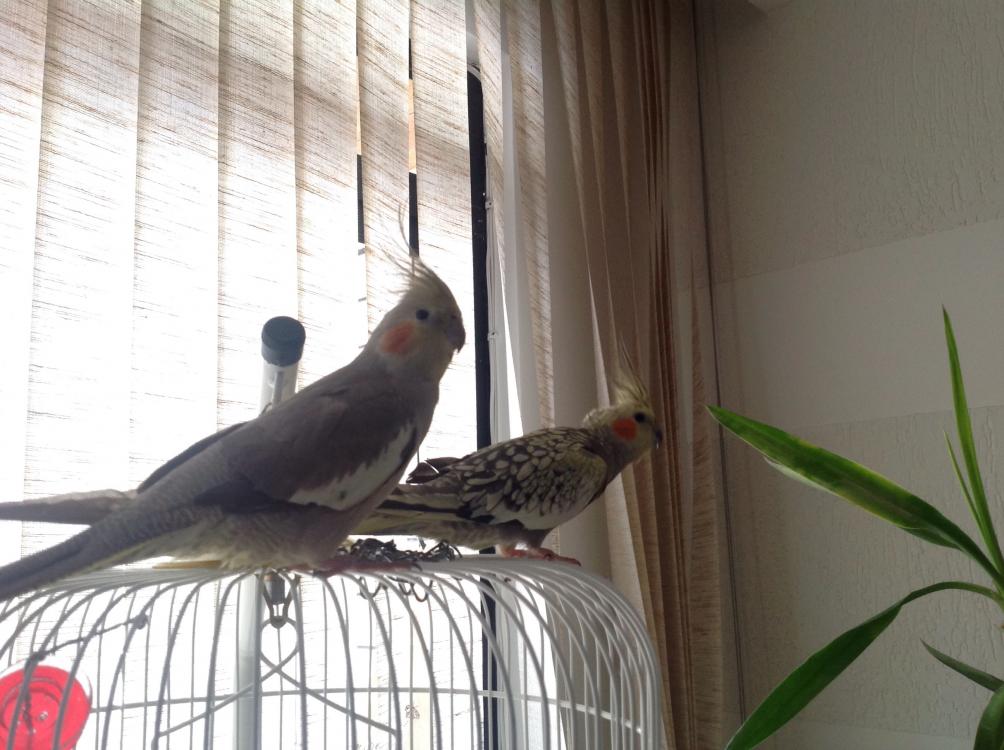 image.thumb.jpg.20baa7cf6581db31651db996