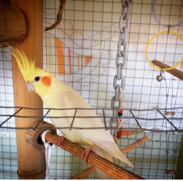 image.thumb.jpg.5b688aba30a0a0c7b2ac68f7