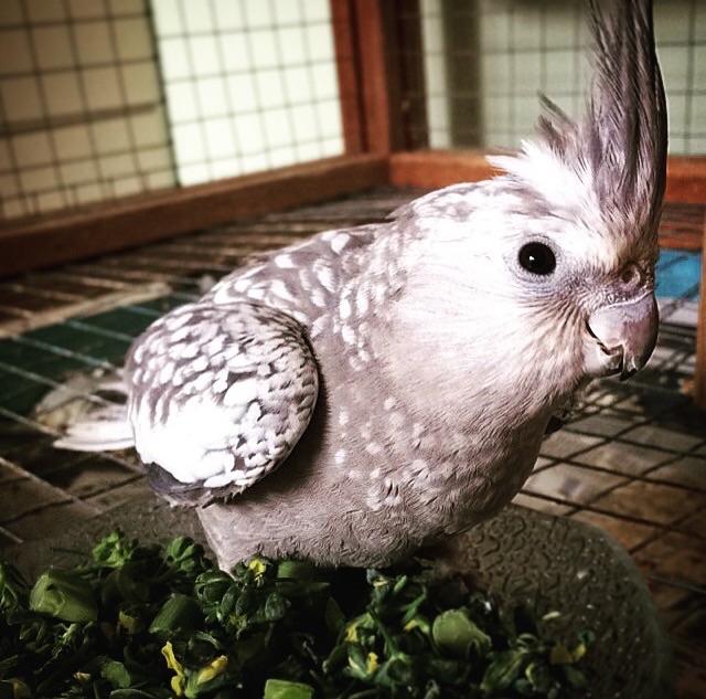 image.thumb.jpg.6d4a20d3598dc2c56384731a