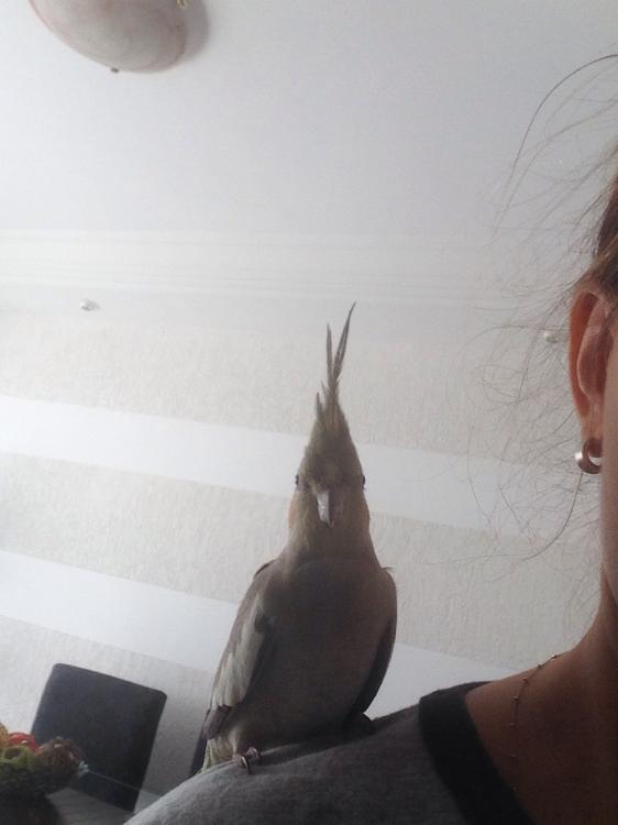 image.thumb.jpg.c75ea17ca8c08da161c5e9c2