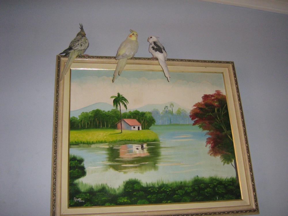 nova integrante 001.JPG