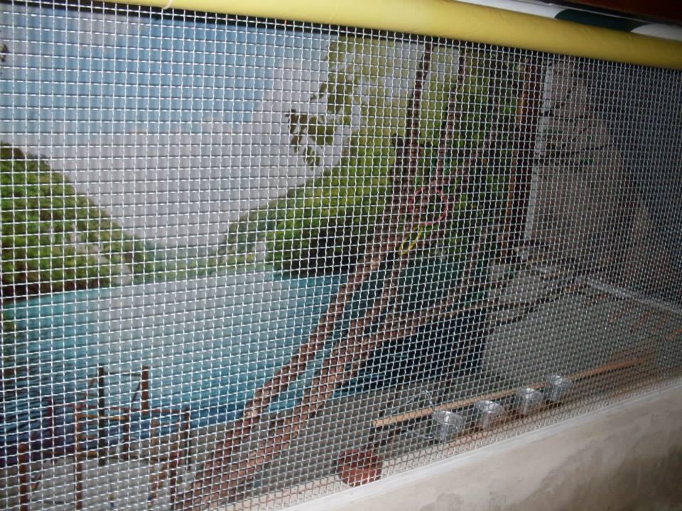 1044688_285171884959735_1061636257_n.thu