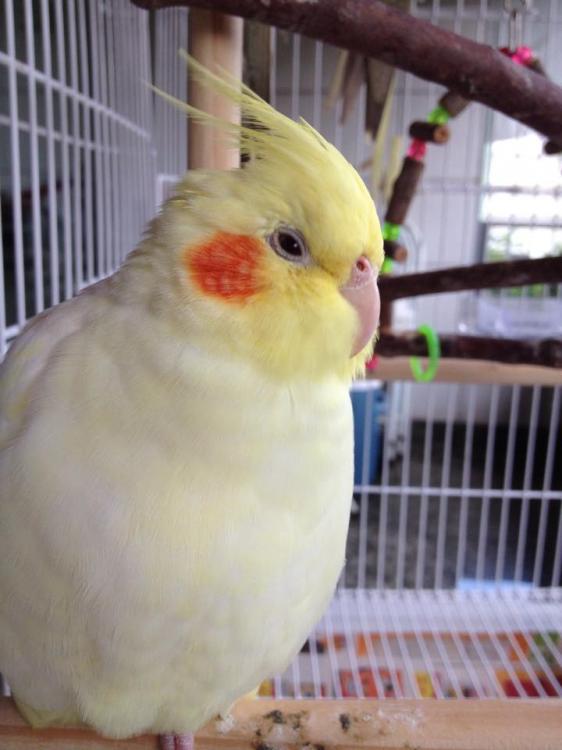 11198767_1017274631670826_1903358783_n.t